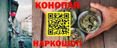 СК Кингисепп