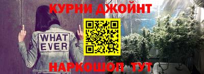 СК Кингисепп