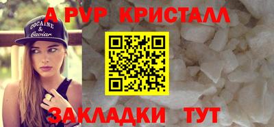 СК Кингисепп