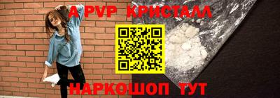 СК Кингисепп