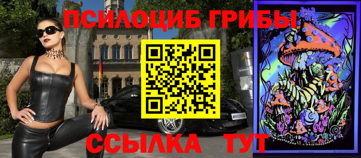 Щёлково  Галлюциногенные грибы мухоморы  Вход с VPN 