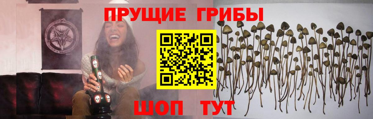 Амфетамин Щёлково